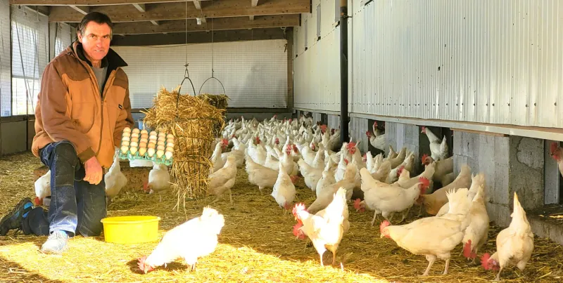 Frisch vom Hof: Die Eier für den Osterhasen kann man mittwochs und samstags direkt bei Familie Dötz in Sulzberg-Ried kaufen