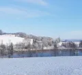 Ansicht vom verschneiten Bachtelweiher